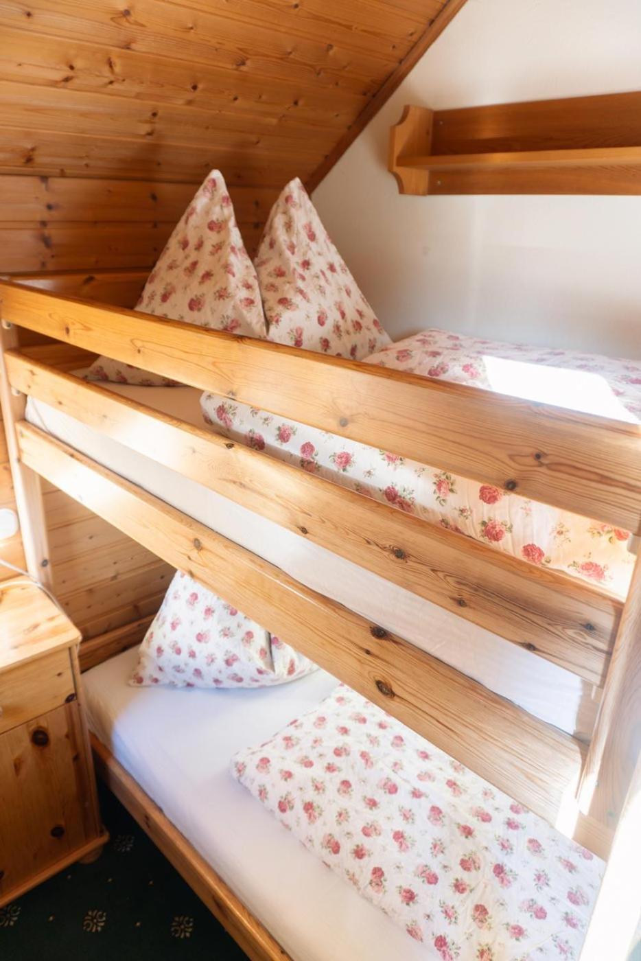 Pension Trillerhof Ramsau am Dachstein Zewnętrze zdjęcie