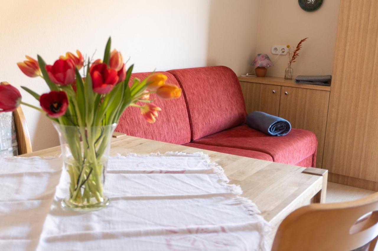 Pension Trillerhof Ramsau am Dachstein Zewnętrze zdjęcie