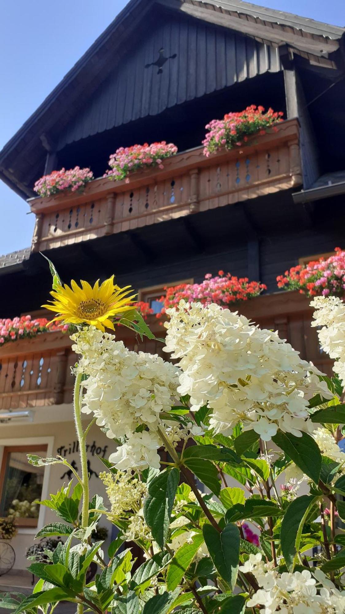 Pension Trillerhof Ramsau am Dachstein Zewnętrze zdjęcie