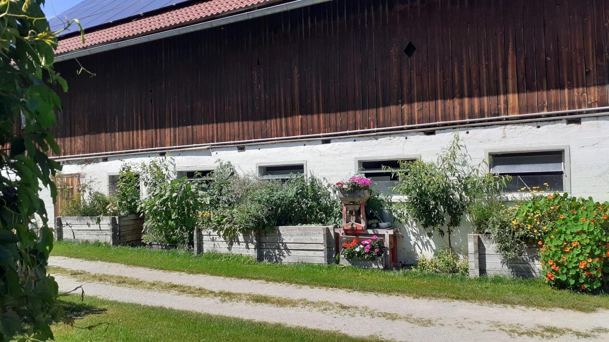 Pension Trillerhof Ramsau am Dachstein Zewnętrze zdjęcie