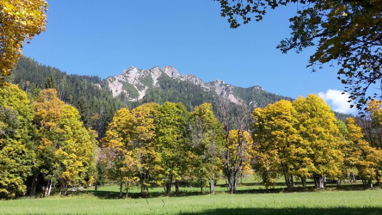 Pension Trillerhof Ramsau am Dachstein Zewnętrze zdjęcie