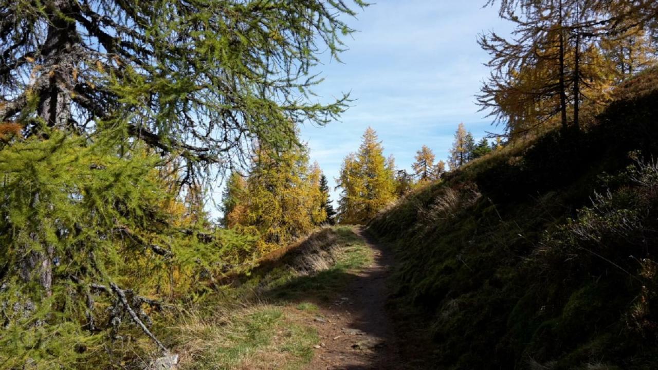 Pension Trillerhof Ramsau am Dachstein Zewnętrze zdjęcie