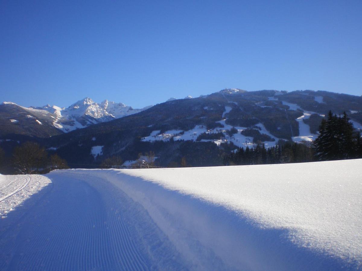 Pension Trillerhof Ramsau am Dachstein Zewnętrze zdjęcie